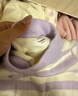 巴拉巴拉童装男童毛衣女童加绒针织衫秋冬条纹半高领毛衫 白紫色调00417 120 cm 实拍图