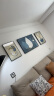 集简季现代简约客厅装饰画沙发背景墙挂画轻奢高级感抽象羽毛壁画 晒单实拍图