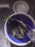 光威（GW） 渔具套装全套装备溪流碳素手竿整套钓鱼竿垂钓新手鱼竿套装组合 手杆4.5+6.3【高档钓椅】+前三节 实拍图