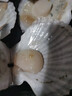 鲜活夏夷扇贝一个（6-8个/500g） 实拍图