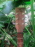 Guitarist民谣吉他单板新手入门木吉他男女生吉它初学者单板电箱jita乐器 烟熏棕41寸【电箱】 实拍图