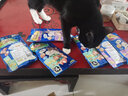 伊纳宝猫咪零食啾噜比猫零食肉干互动奖励营养 金枪鱼烤鸡小胸10g*4条 实拍图