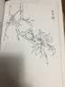 满庭芳 工笔白描百花画谱 实拍图