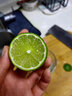马保果海南青柠檬应季新鲜青柠薄皮绿肉柑绿鲜柠檬 实拍图