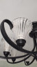 FSL佛山照明尖泡led灯泡烛形尖泡水晶灯泡小螺口E14晶钻银色6.5W白光 晒单实拍图