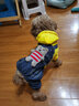 宠物圈（PETCIRCLE）冬季狗狗衣服泰迪衣服秋冬装小狗宠物贵宾四脚衣服萌宠服装狗衣服 黄色款 L胸48背33cm 体重9-11斤 实拍图