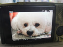 索尼（SONY）ZV-1II ZV-1二代数码相机Vlog相机4K视频超广角ZV-1M2/ZV1M2 ZV-1M2 黑色单机 (不含内存卡)  官方标配 实拍图