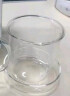 果兹（GUOZI）左茗绅士杯500ml GZ-S12 简约商务风办公室泡茶杯透明耐热玻璃杯 实拍图