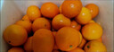 广西武鸣沃柑2025橘子新鲜水果当季一级沙糖蜜橘砂糖柑橘大果 小果(单果径55-60mm) 净重3斤 实拍图