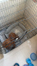 腆宠狗笼猫笼 狗笼子中小型犬带厕所幼犬狗窝猫笼子大号家用围栏兔笼 晒单实拍图