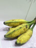浍爷广西大芭蕉牛蕉牛角蕉广东茂名高州大蕉酸香蕉酸甜大芭焦巴蕉 5斤 大芭蕉 晒单实拍图