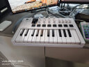 ARTURIA MINILAB3 MK3 便携MIDI键盘25键迷笛控制器打击垫音乐作编曲制作 25键白色+定制硬壳包 官方授权 赠正版音色库 实拍图