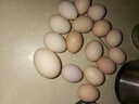 我老家新鲜大鹅蛋 农家自养土鹅蛋 现捡现发 鹅蛋6枚（600g) 实拍图