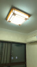 雷士（NVC） LED灯盘灯条吸顶灯灯芯替换光源改造板环形灯管改装灯白光 晒单实拍图
