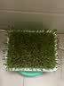 种菜记 芽苗菜种子纸上种菜无土栽培萝卜空心菜豌豆松柳盆栽蔬菜籽四季 麻豌豆500克 实拍图
