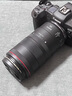 佳能（CANON） RF全画幅/半画幅微单镜头 R8 R50 R7 R10 R5 R62 R系列镜头 中远摄微距RF100 F2.8 L MACRO百微 实拍图