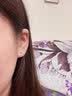 喜钻围爱系列-铂金/18K钻石耳钉女群镶克拉效果耳饰送女友 直针硅胶款-【克拉效果】共40分/对-现货 实拍图