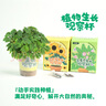 九月生儿童种植盆栽套装含羞草植物种子根系观察盒幼儿园DIY迷你小盆栽 实拍图
