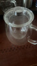 忆壶茶（YIHUTEA） 茶壶玻璃泡茶壶玻璃茶具 茶水分离煮茶壶玻璃水壶保温加热煮茶器 【一壶2杯】650ML泡茶壶 实拍图