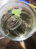 梦庭（MENGTING）茶滤Tritan材质泡茶过滤器茶漏茶仓泡茶球茶水分离器花茶球3个装 实拍图