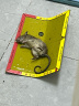 金大侠粘鼠板老鼠贴超强力家用老鼠一窝端捕鼠神器加大加厚灭鼠粘板10片 实拍图