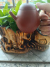 林李间潮州手拉壶朱泥手工壶紫砂茶壶功夫茶泡茶壶入门级泡茶壶原矿朱泥 高梨壶【礼盒装】 实拍图