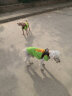 ISPET狗狗衣服中小型犬春夏装宠物柯基泰迪雪纳瑞新款清凉速干衣服 绿色 3XL（29-38斤） 晒单实拍图