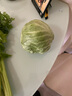 圆白菜 火锅食材 包菜 卷心菜 绿甘蓝 新鲜蔬菜1枚装 禾人 1枚装 实拍图