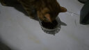 愛肯拿（ACANA）海洋盛宴鱼肉味猫粮5.4kg 成猫幼猫通用粮【美版】 晒单实拍图