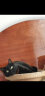 富力鲜（Frisian）顽皮猫罐头泰国进口猫零食白身鲔鱼牛肉鲑鱼成幼猫主食猫湿粮24罐 混合口味口味随机 85g*24罐 实拍图