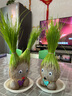 易囍艺 水培巴西木幸运木格鲁特创意绿植盆栽室内好养办公桌面植物 长草娃娃2个+2底托 规格 实拍图