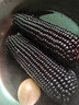 抱抱你 【大棒300g】头茬黄白玉米粘黏甜糯黑玉米棒营养代餐苞米玉米 黄糯玉米14根*300g【头茬大棒】 实拍图