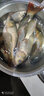 钓鱼王 鱼饵鲤鱼打爆口黑坑散炮饵料钓鱼底窝窝料鱼食 黄色疯爆（黑糖） 实拍图
