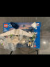 乐高（LEGO）积木拼装城市系列60367 客运飞机不可遥控男孩儿童玩具儿童节礼物 实拍图