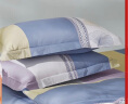 水星家纺对枕套 40S全棉枕套枕头保护套单件 悠然日记 48cm×74cm 晒单实拍图