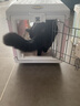 爱丽思（IRIS）航空箱宠物可折叠便携猫笼猫包狗狗猫咪宠物箱手提太空舱透气车载 桃色套装【背带+滚轮】 小号10公斤宠物 实拍图