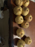 砀山皇冠梨酥梨新鲜香脆梨子 新鲜水果 带箱10斤装 晒单实拍图