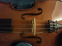 红棉（Kapok）实木小提琴V188初学者入门学校乐团推荐学生儿童成人练习琴男女生 3/4 【初学启蒙】身高140-150cm 实拍图