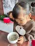 伊威（Eastwes）婴儿面条1-2岁八珍面碎碎面蝴蝶面片宝宝营养辅食无添加食用盐 彩蔬面片180g 实拍图