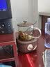 金灶（KAMJOVE） 养生壶迷你养生杯 智能恒温保温电茶壶 分体式煮茶器 煮花茶壶烧水壶400ml HT-001 摩卡棕 0.4L 实拍图