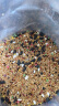 威毕鹦鹉饲料鸟食鸟粮玄凤虎皮牡丹吃的中小型混合瓜子小米粮食零食 散装5斤 实拍图