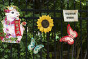 中一（zhongyi） 中一光学 85mm F2.0全画幅人像手动对焦镜头EF\AI\FE\FX 索尼E口-黑色 标配 实拍图