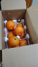 田拾记四川爱媛38号果冻橙【多地次日达】桔橘子新鲜水果送礼年货礼盒 出口级母橙丨5斤彩箱 更甜更多汁丨净4.5斤 力荐 大果丨单果80mm+丨超甜 实拍图