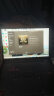 ThinkPad联想ThinkBook14+锐龙版 可选2023款 小新轻薄办公笔记本电脑pro游戏本 R7-7840H 16G内存 2.8K 512G固态 标配 实拍图