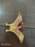 儿童恐龙玩具套装仿真动物超大号塑胶模型三角龙腕龙恐龙蛋霸王龙男孩 霸王龙斜长约16cm 送3恐龙1蛋 晒单实拍图