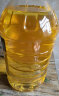 金龙鱼 食用油 精炼一级 菜籽油5L（新老包装随机发货） 实拍图
