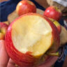 南非牛顿小苹果进口富士野生迷你苹果脆甜多汁孕妇当季新鲜水果 500g 晒单实拍图