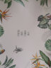 希尔（SHALL） 欧式长方形加厚密胺托盘 酒店家用塑料茶盘餐盘水果盘 创意绿植15英寸 实拍图