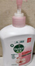 滴露（Dettol）【陈星旭同款】抑菌洗手液滋润500g*6 家庭装儿童消毒无酒精 实拍图