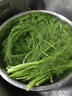 茗君鲜顺丰包邮山东茴香菜新鲜茴香苗现摘头茬荤香嫩叶小茴香饺子馅蔬菜 茴香3斤（顺丰/京东包邮） 实拍图